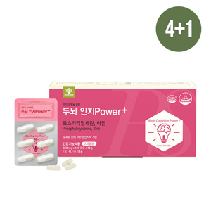 두뇌인지Power 4+1