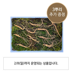 산양산삼 특가상품 운영종료 안내
